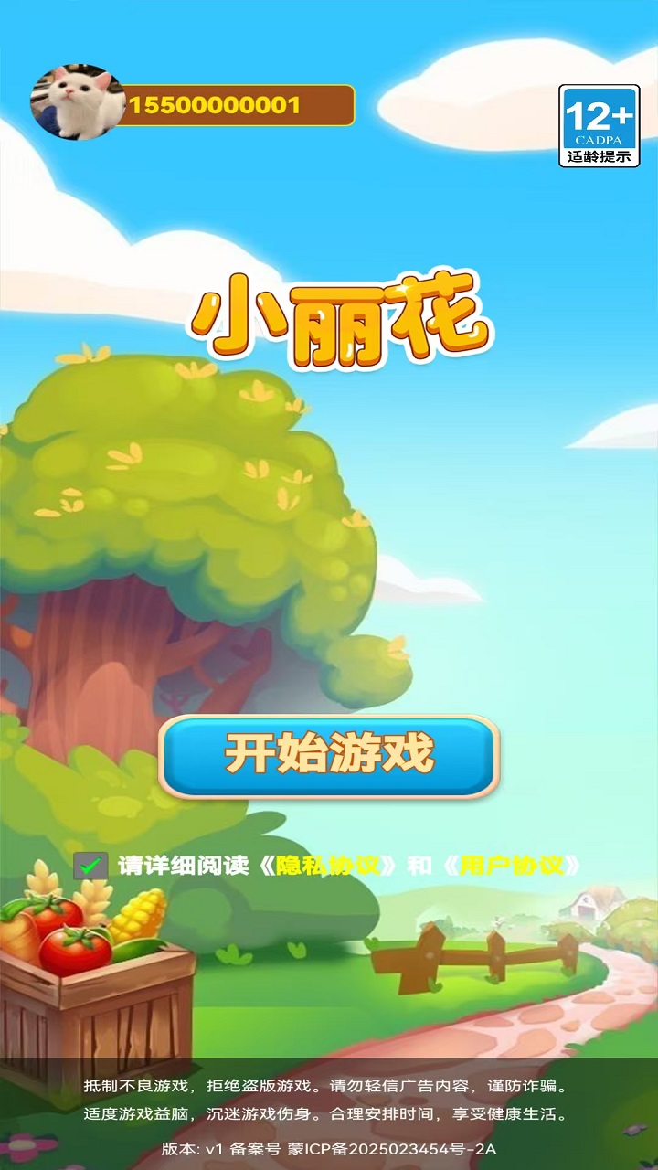 小丽花