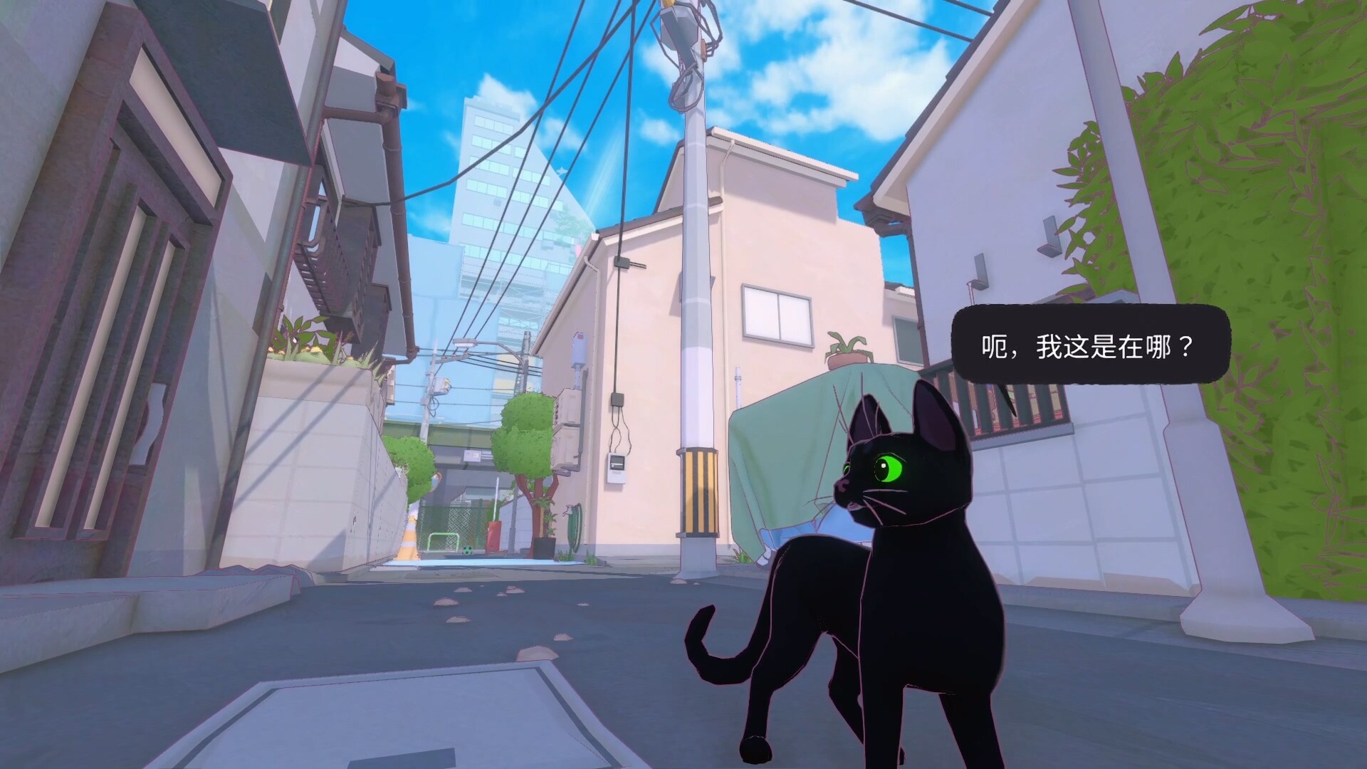 小猫咪大城市将于5月9日在steam上正式发售