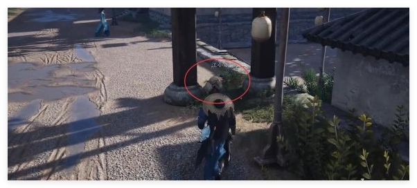 燕云十六声孤舟独影任务怎么做