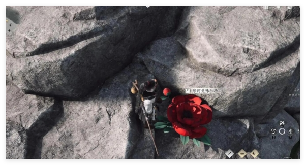 燕云十六声来生岸之一花中愿任务怎么做