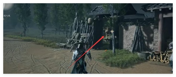 燕云十六声暗蜂传蕊任务怎么做