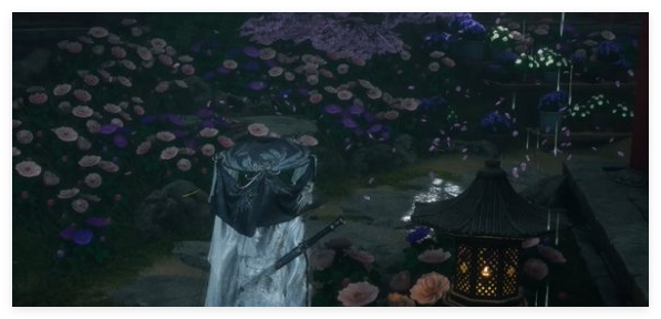 燕云十六声芳菲有情笺风信花在哪