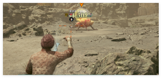 宣誓钙化甲虫巢结晶怎么得到