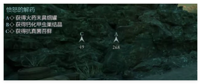 宣誓钙化甲虫巢结晶怎么得到