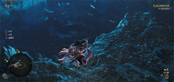 怪物猎人荒野瑰丽盾章菊螺怎么钓