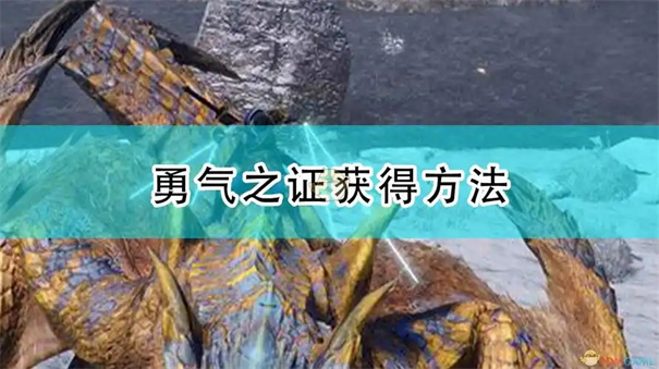 怪物猎人世界勇气之证怎么获得