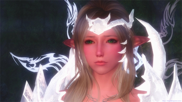 上古卷轴4重制版怎么捏脸