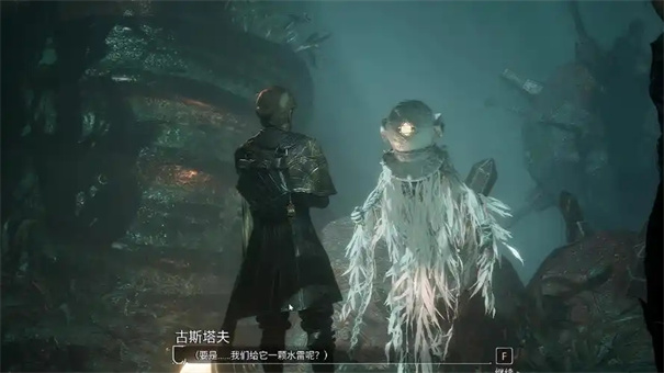 光与影33号远征队雷灵打不打