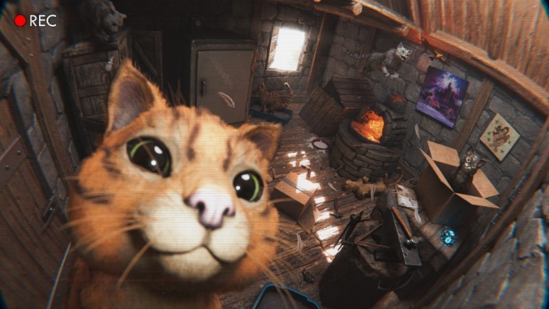 《方舟：生存飞升》新生物“猫”正式登场